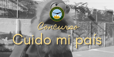 Concurso: «Cuido mi país»