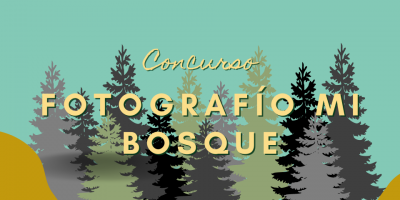 Resultados concurso de fotografía «Mi Bosque»