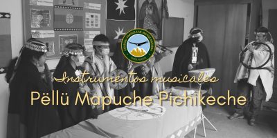Instrumentos musicales Mapuche