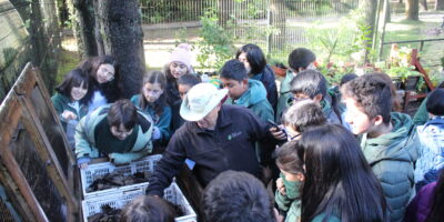 Salida pedagógica al Parque Alessandri: Explorando el patrimonio cultural de Chile